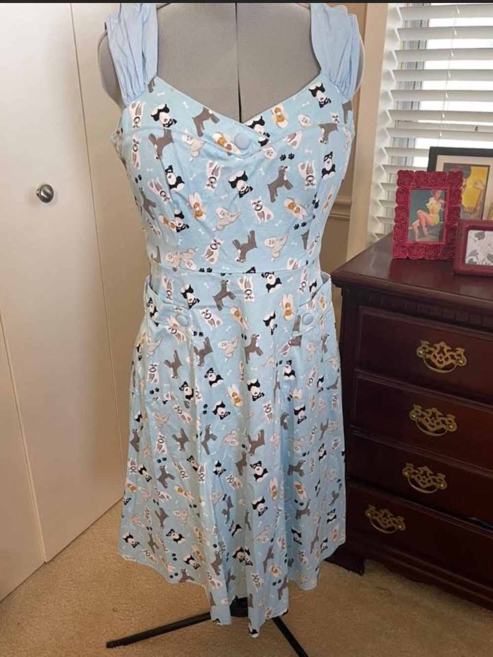 READ Description GUC Voodoo Vixen Dog dress. Size L.